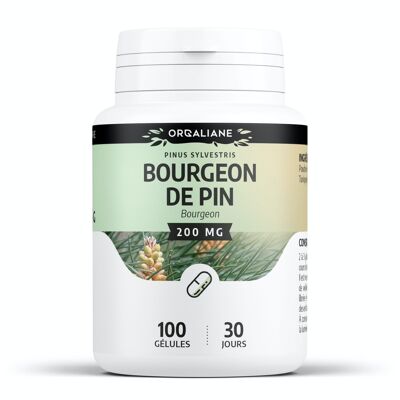 Germoglio di pino - 200 mg - 100 capsule