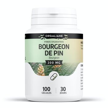 Bourgeon de Pin - 200 mg - 100 gélules 1