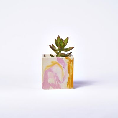 Indoor Plant Concrete Pot - Marbled Concrete Yellow and Pink