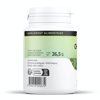 Chiendent - 190 mg - 100 gélules 2
