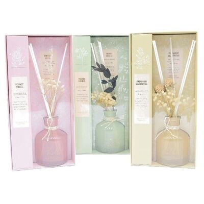 Diffuseur Parfums + Fleurs 100Ml 3 assortiments