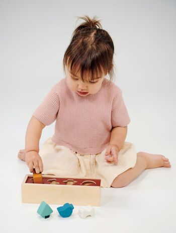 Boîte de tri de forme d'animal familier de jouet en bois de Mentari pour des enfants 3