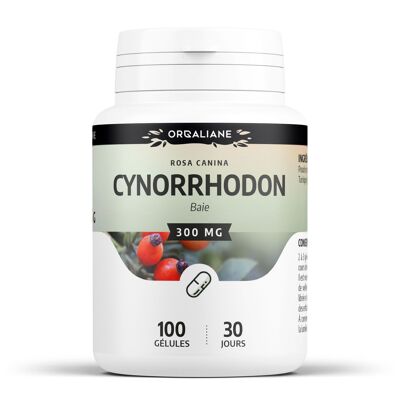 Cynorrhodon - 300 mg - 100 gélules