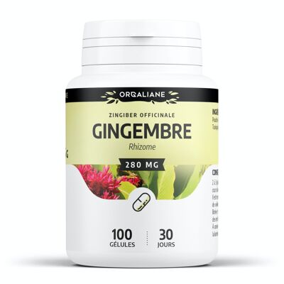 Ginger - 280 mg - 100 capsules