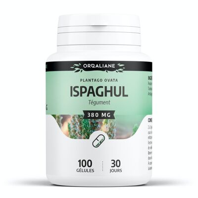 Ispaghul – 380 mg – 100 Kapseln