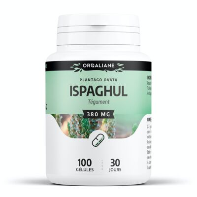 Ispaghul - 380 mg - 100 gélules