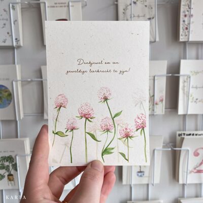 Greeting Card - Red clover