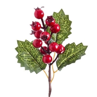 CHRISTMAS - PICK HOLLY WITH RED LEAVES CT117796