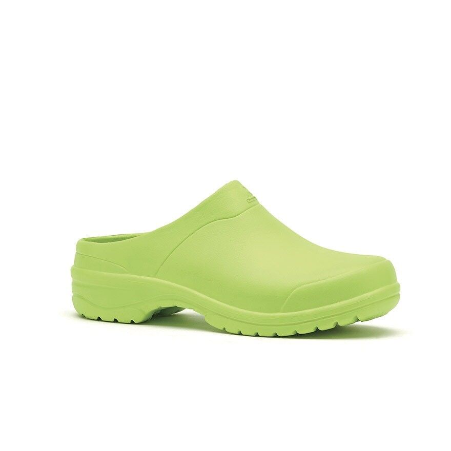 Verstopfen Sie EINEN Anis