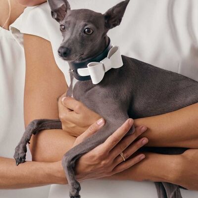 Dog Bow Tie Accessory White