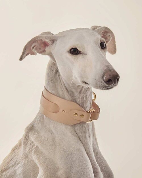 Collar Galgo · Nude