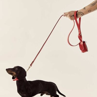 Dog Leash Red