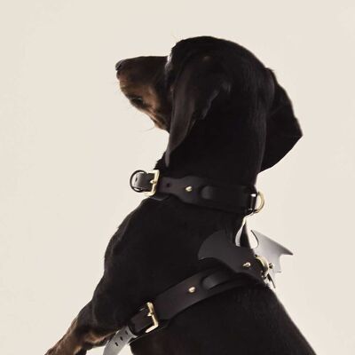 Dog Wings Accessory Black