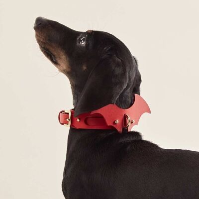 Accesorio Alas Perro · Rojo