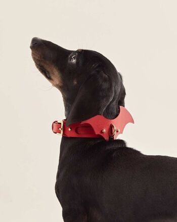 Accessoire Dog Wings Rouge 1
