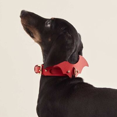 Accessoire Dog Wings Rouge