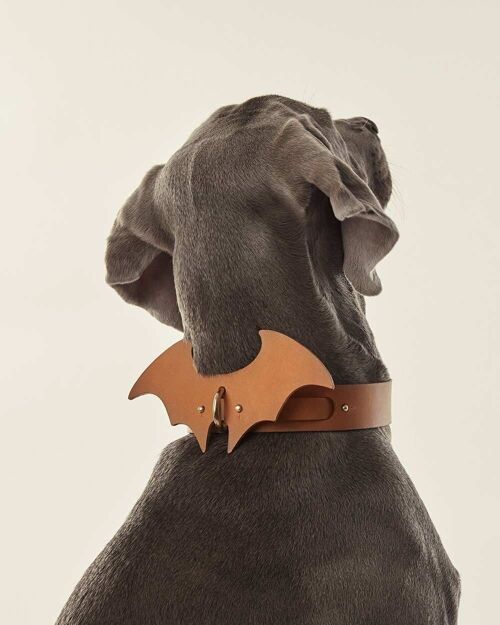 Accesorio Alas Perro · Camel