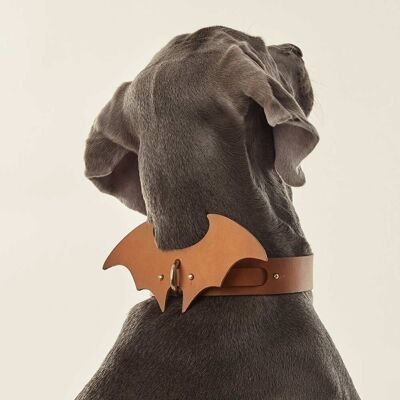 Dog Wings Accessory Camel