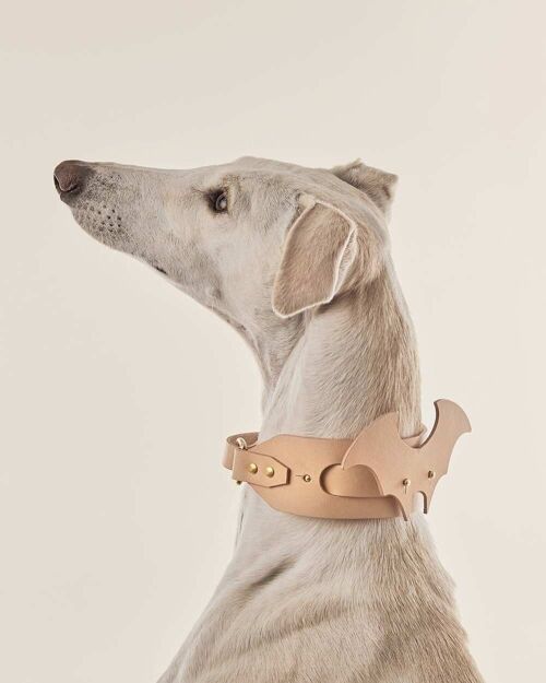 Accesorio Alas Perro · Nude