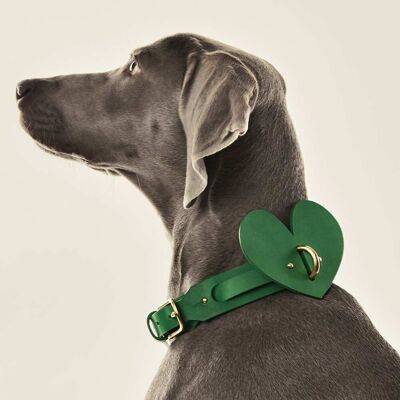 Dog Heart Accessory Green