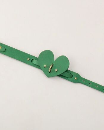 Accessoire Chien Coeur Vert 4