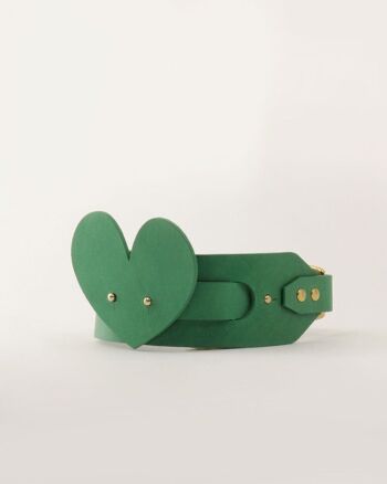 Accessoire Chien Coeur Vert 5