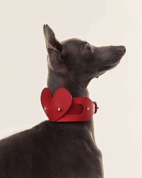 Accesorio Corazón Perro · Rojo