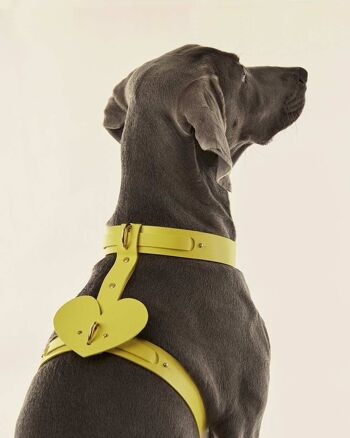 Accessoire Chien Coeur Jaune 1