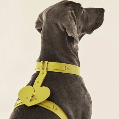 Dog Heart Accessory Yellow
