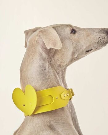 Accessoire Chien Coeur Jaune 3