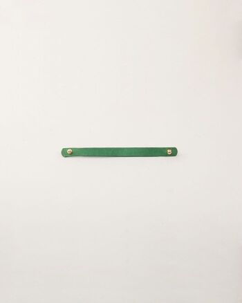 Bracelet interchangeable Chien Chien Vert 1