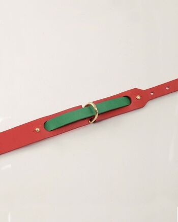 Bracelet interchangeable Chien Chien Vert 3