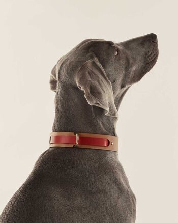 Bracelet interchangeable Chien Rouge 2