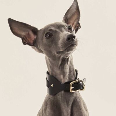 Italian Greyhound/Whippet Collar Black