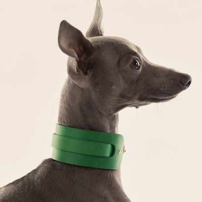 Collier Lévrier Italien/Whippet Vert