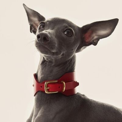 Italian Greyhound/Whippet Collar Red