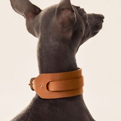 Halskette für italienischen Windhund/Whippet, Kamel