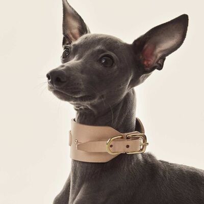 Collar Galgo italiano/Whippet · Nude