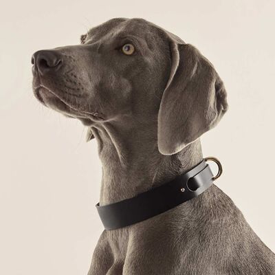 Dog Collar Black