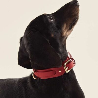 Collier pour chien Rouge