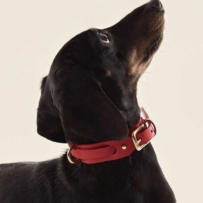 Dog Collar Red