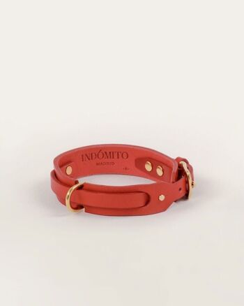 Collier pour chien Rouge 2