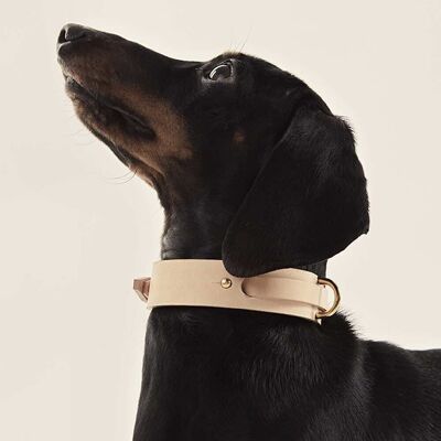 Collier pour chien Nude