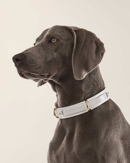 Collar Perro · Blanco