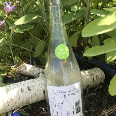 Bottle of fresh birch sap – 75 cl