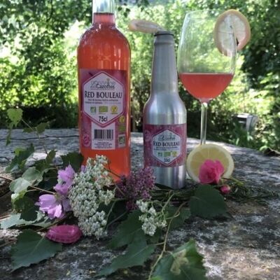 Red-Bouleau: Lacto-fermentiert mit Birkensaft und Himbeeren