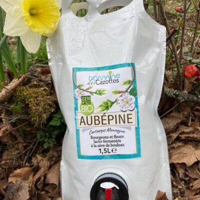 Cubi Sève de bouleau lactée fermentée bourgeons & fleurs – Aubépine – 1,5L