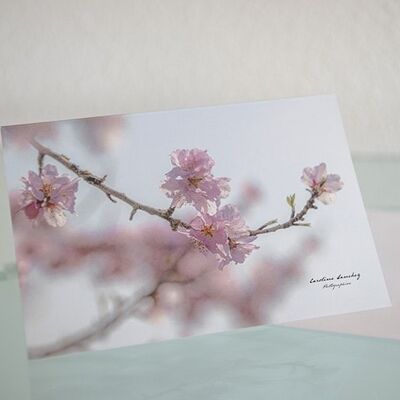 Greeting card, double photo card