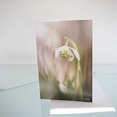 Greeting card, double photo card