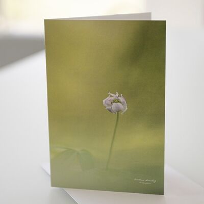 Greeting card, double photo card